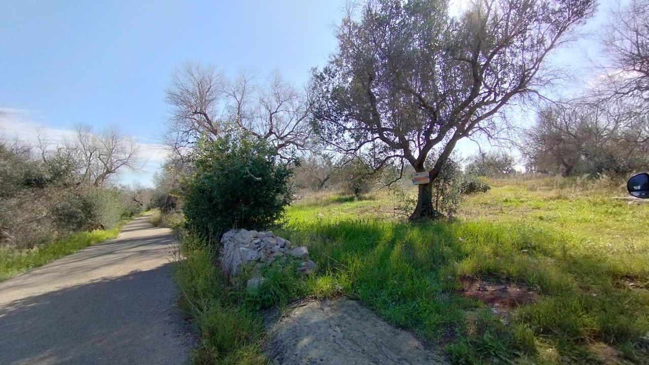 Vendita terreno agricolo gemini